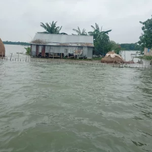 Mobile service disrupted in flood-hit areas, demand to resume soon