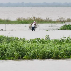 Opened Farakka water reservoir, water in Padma is increasing by 1 cm in three hours