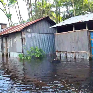Even though the flood water started receding in Lakshmipur, the suffering did not subside