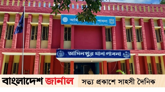 Uncle killed by nephew's stabbing in Pabna