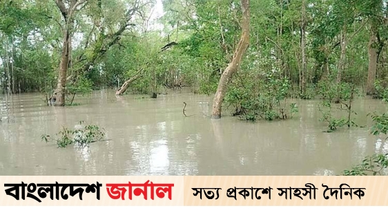 In Bagerhat, the river water is above the limit