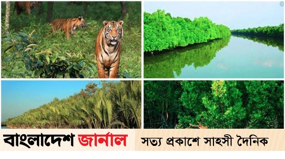 After the ban, the doors of Sundarbans are opening tomorrow for tourists