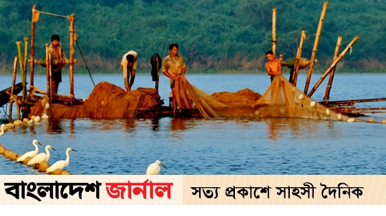 Fishing in Kaptai lake starts from midnight