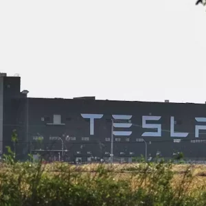 Nearly 500,000 trees have been cut in Berlin to build the Tesla factory