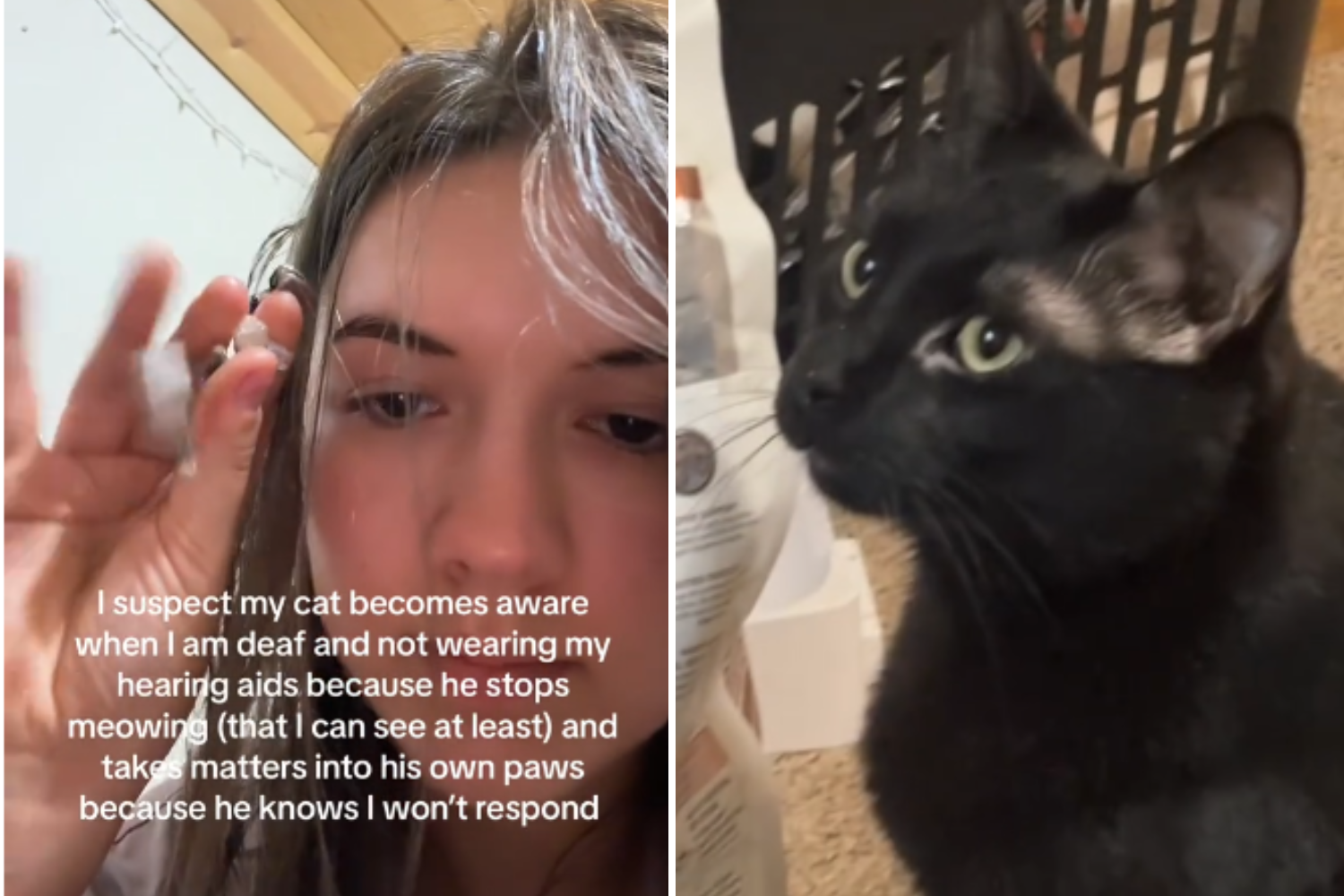 Cat Knows When Owner Removes Hearing Aids—’Takes Matters Into His Own Paws’