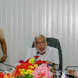 The government will reconstitute committees and companies to investigate irregularities in the power sector