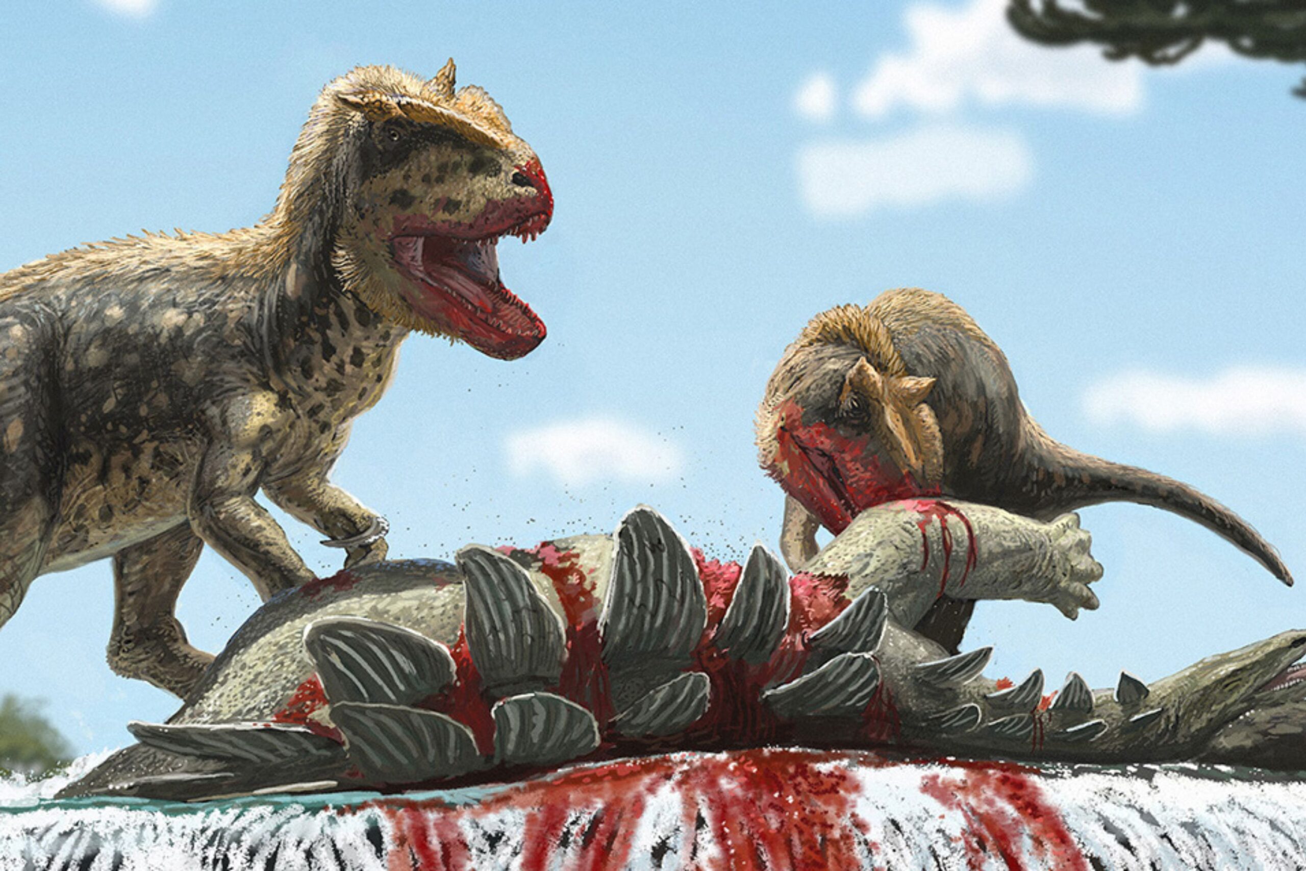 New Carnivorous Dinosaur Species with Impressive ‘Eyebrow’ Revealed