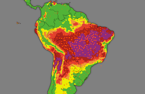 Amazon Wildfires Choke Swathes of Brazil With Smoke