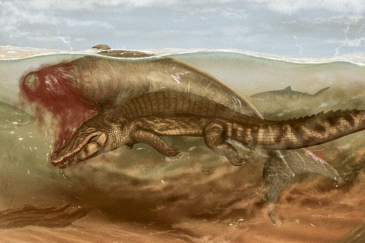 Shark and Crocodile Ate Unlucky Sea Cow, ‘Extremely Rare’ Fossil Reveals