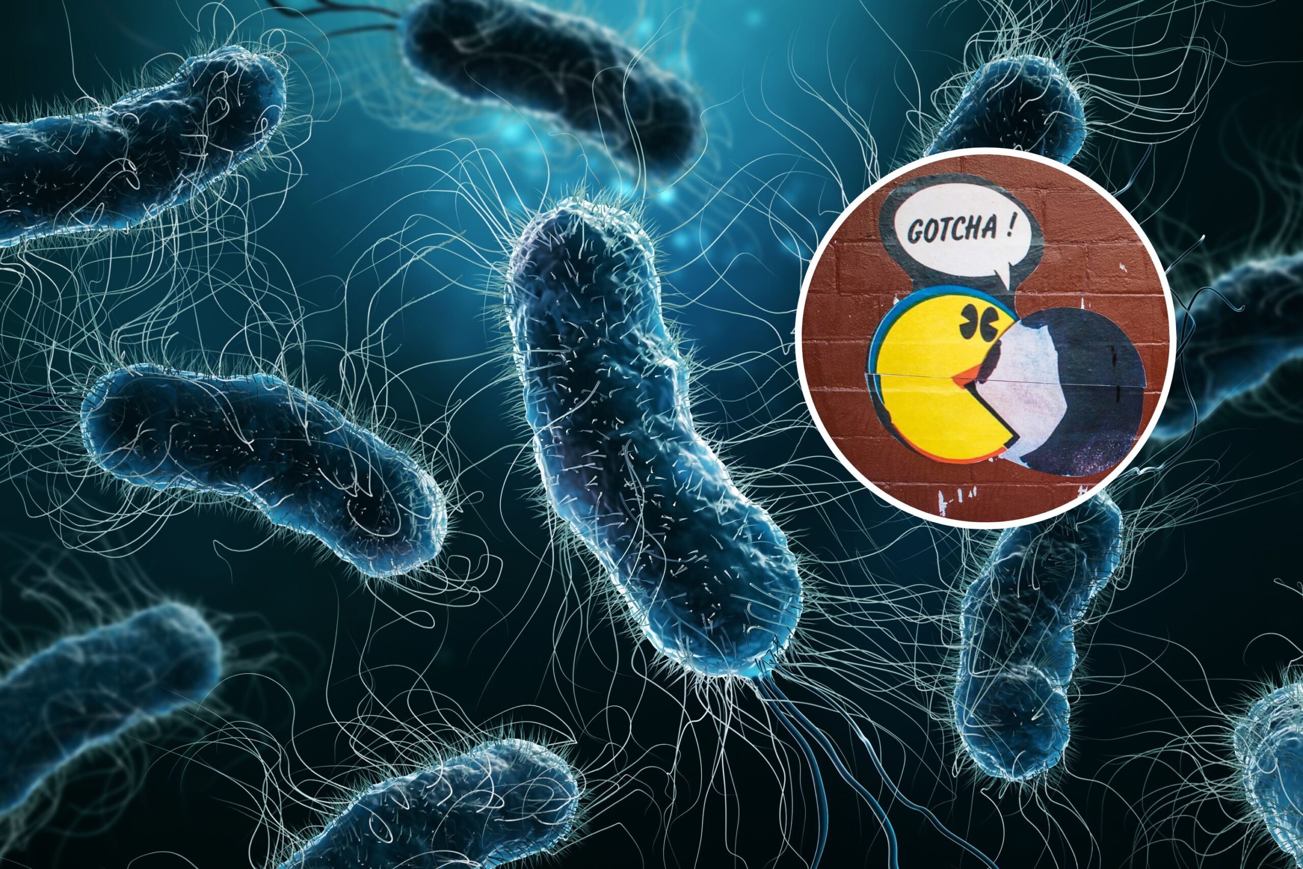 Microbiologists Discover ‘Impossible’ Pac-Man Bacteria