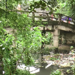 Eight km canal is now Bhagar