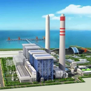 Matarbari Power Project: Hapis 500 crores in 6 person cycle