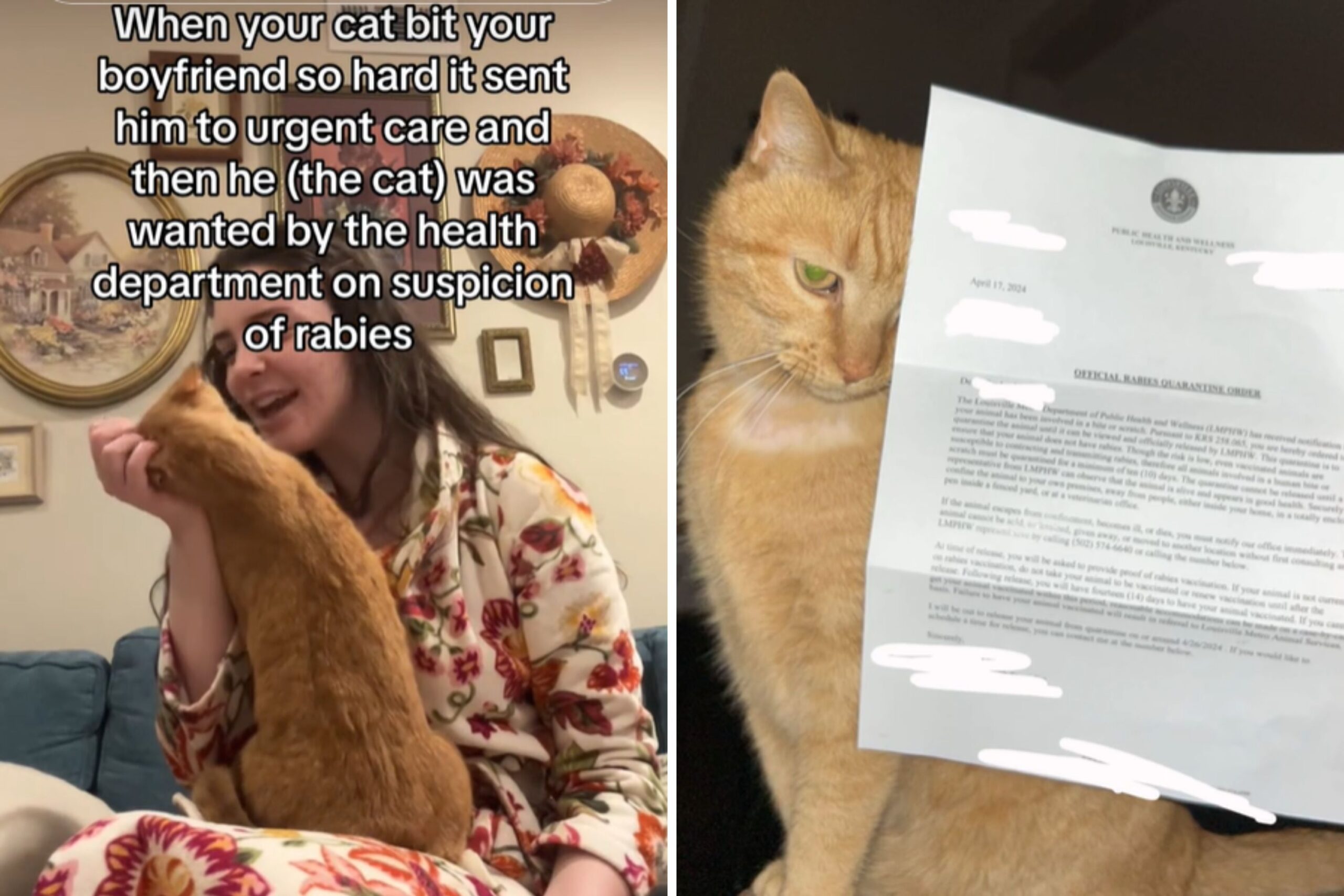Cat Bites Owner’s Boyfriend, Sent ‘Wanted’ Letter From Health Department