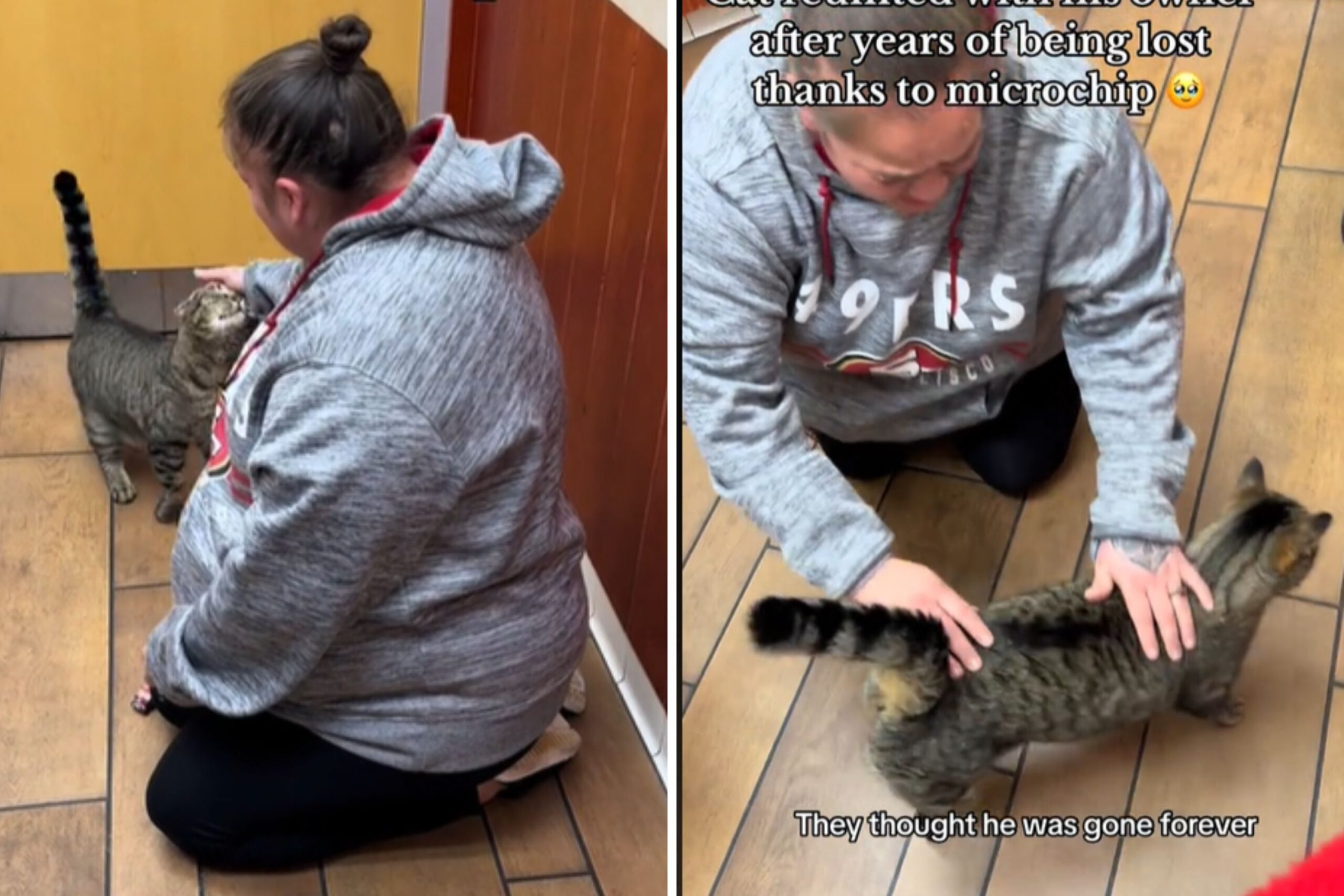 Owner Reunites With Cat Years After He Went Missing: ‘Remembered His Mom’