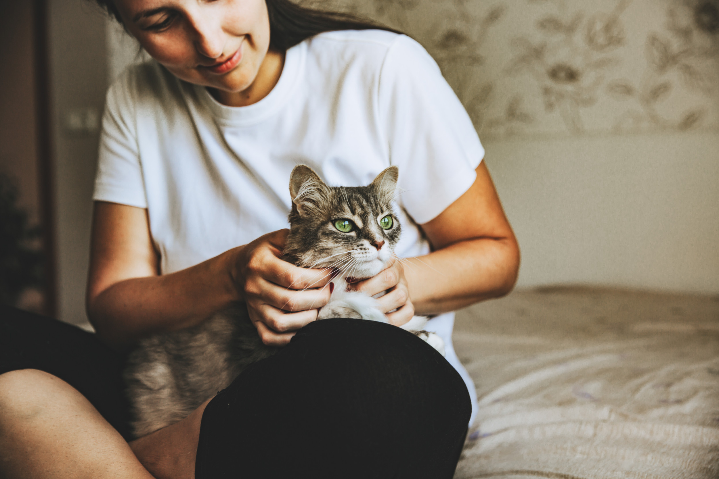 Moment Cat Sits on Owner’s Lap for the First Time After 3 Years Together