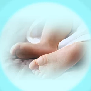 The body of the missing child was recovered from the shrimp enclosure