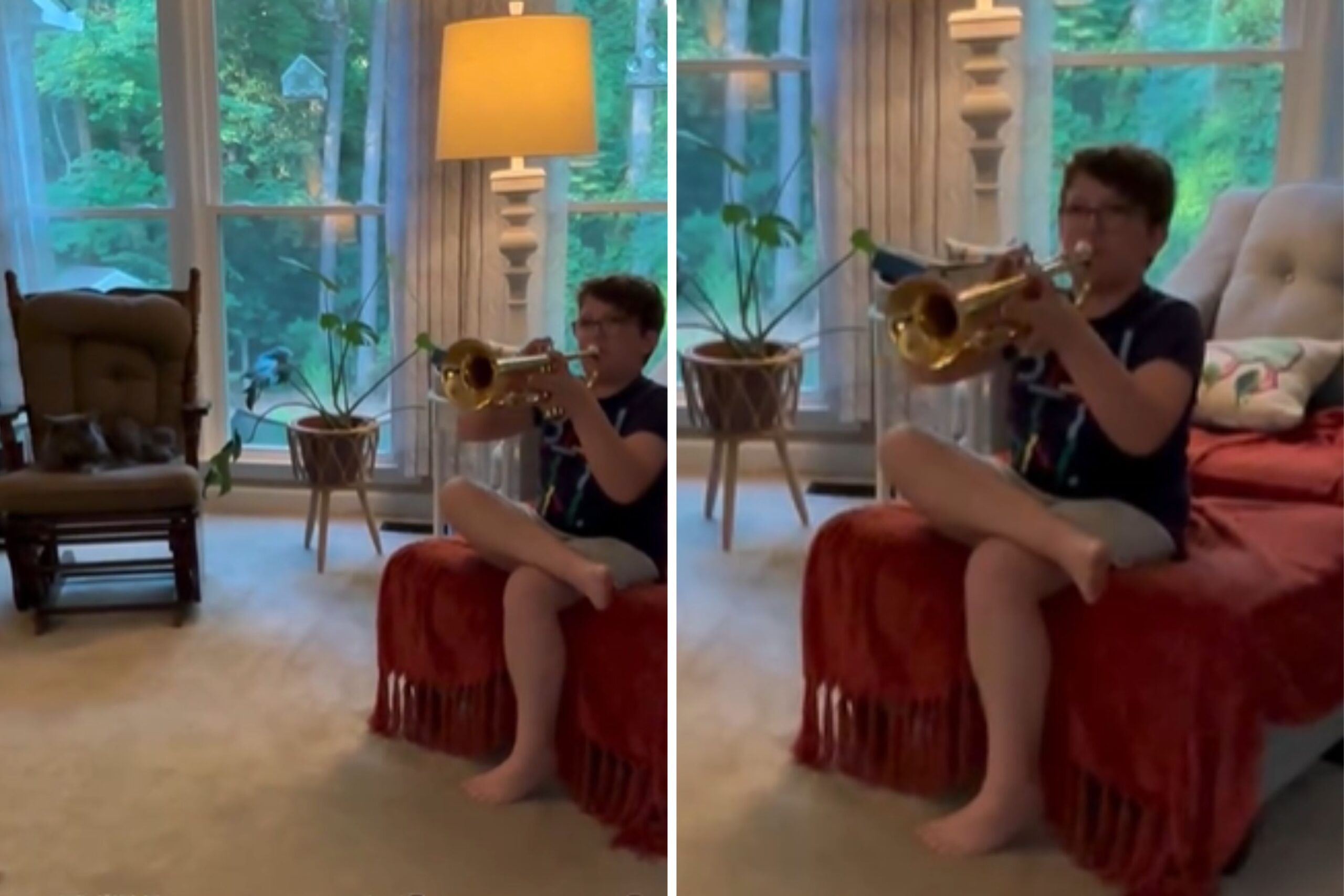 Cat’s Priceless Reaction to 6th-Grader Learning the Trumpet ‘Is All of Us’