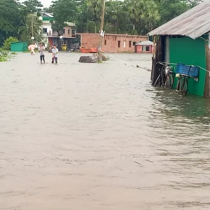 More than half a hundred fish enclosures are flooded with rain water in Chandpur