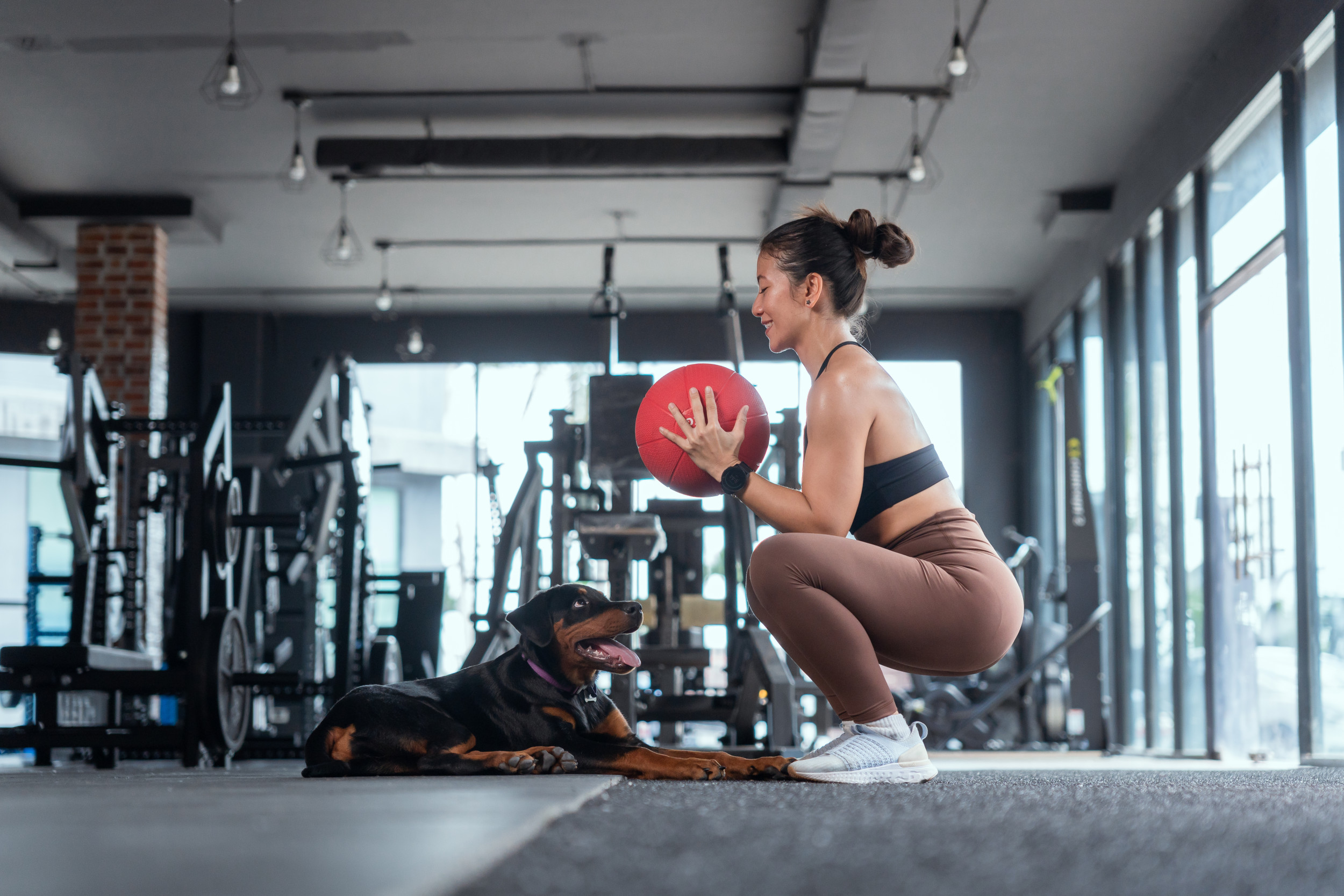 Dog Tries to Join Owner’s Workout: ‘Catchin’ the Zoomies’