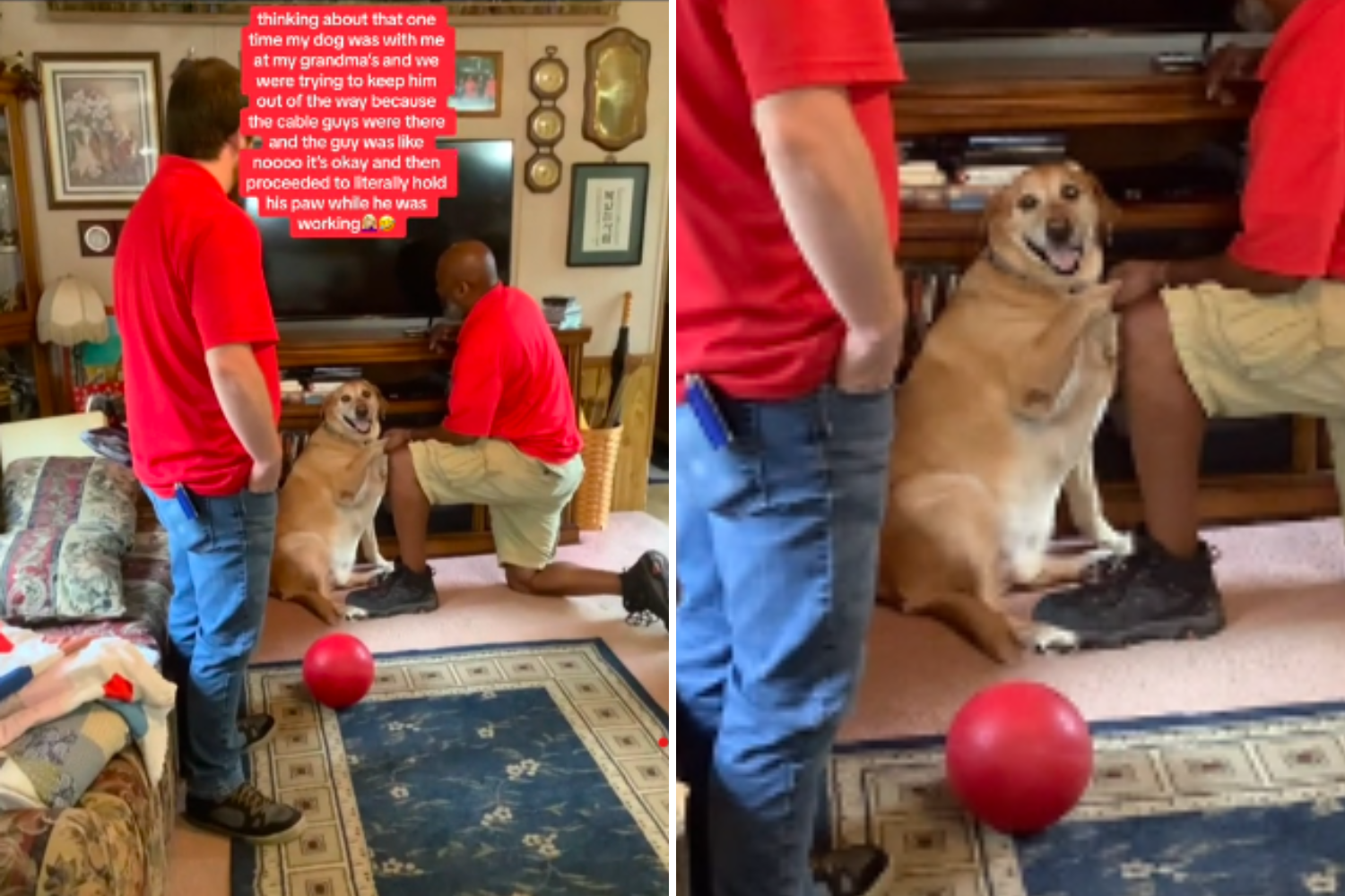 Dog Insists on Holding Cable Guy’s Hand While Working: ‘He Wanted Me’