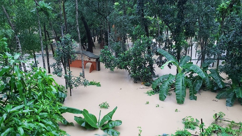 3 upazila of Feni cut off communication due to flood, desperate for survival