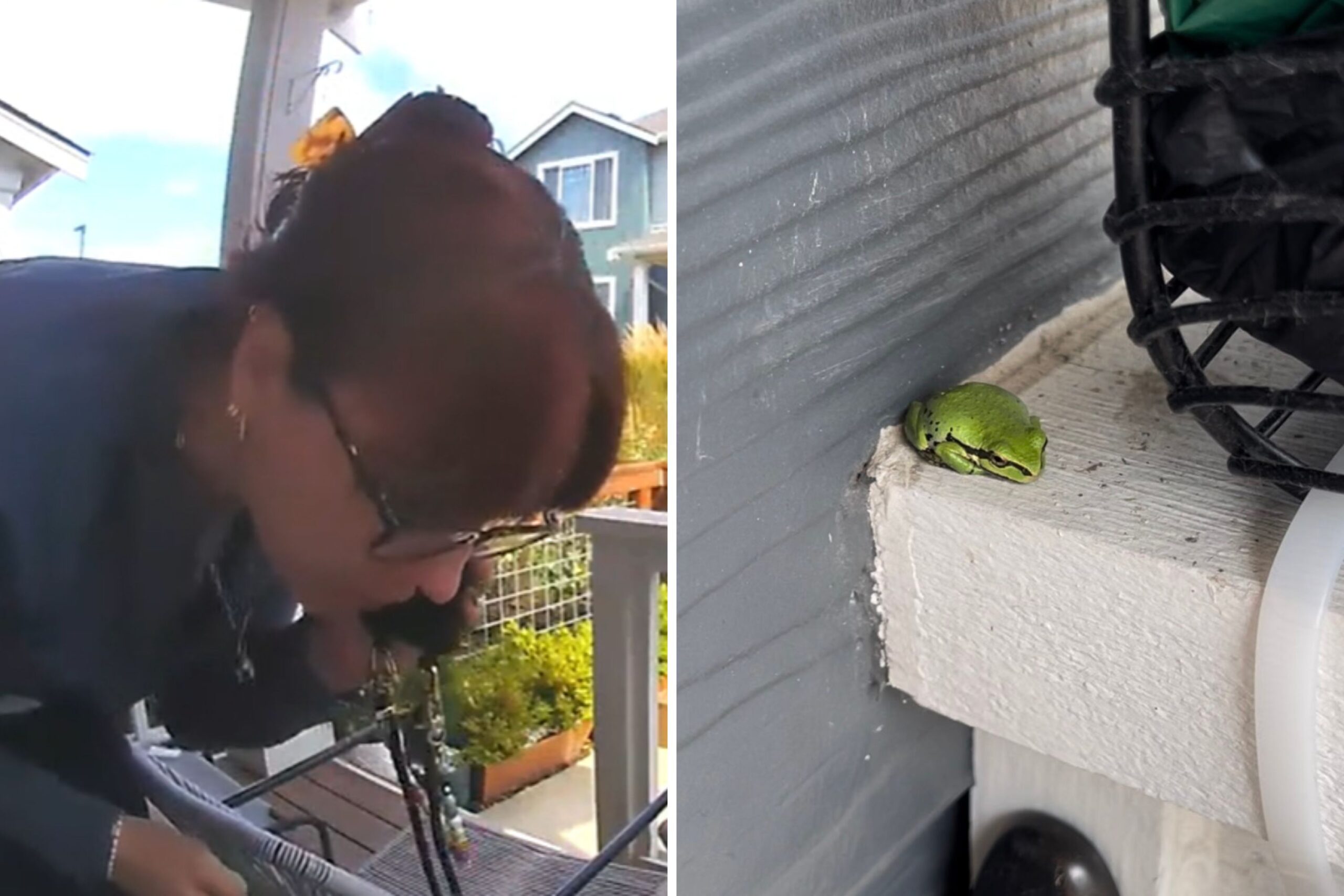 Woman Finds Snake Eating Animal on Her Porch, so She Leaps Into Action