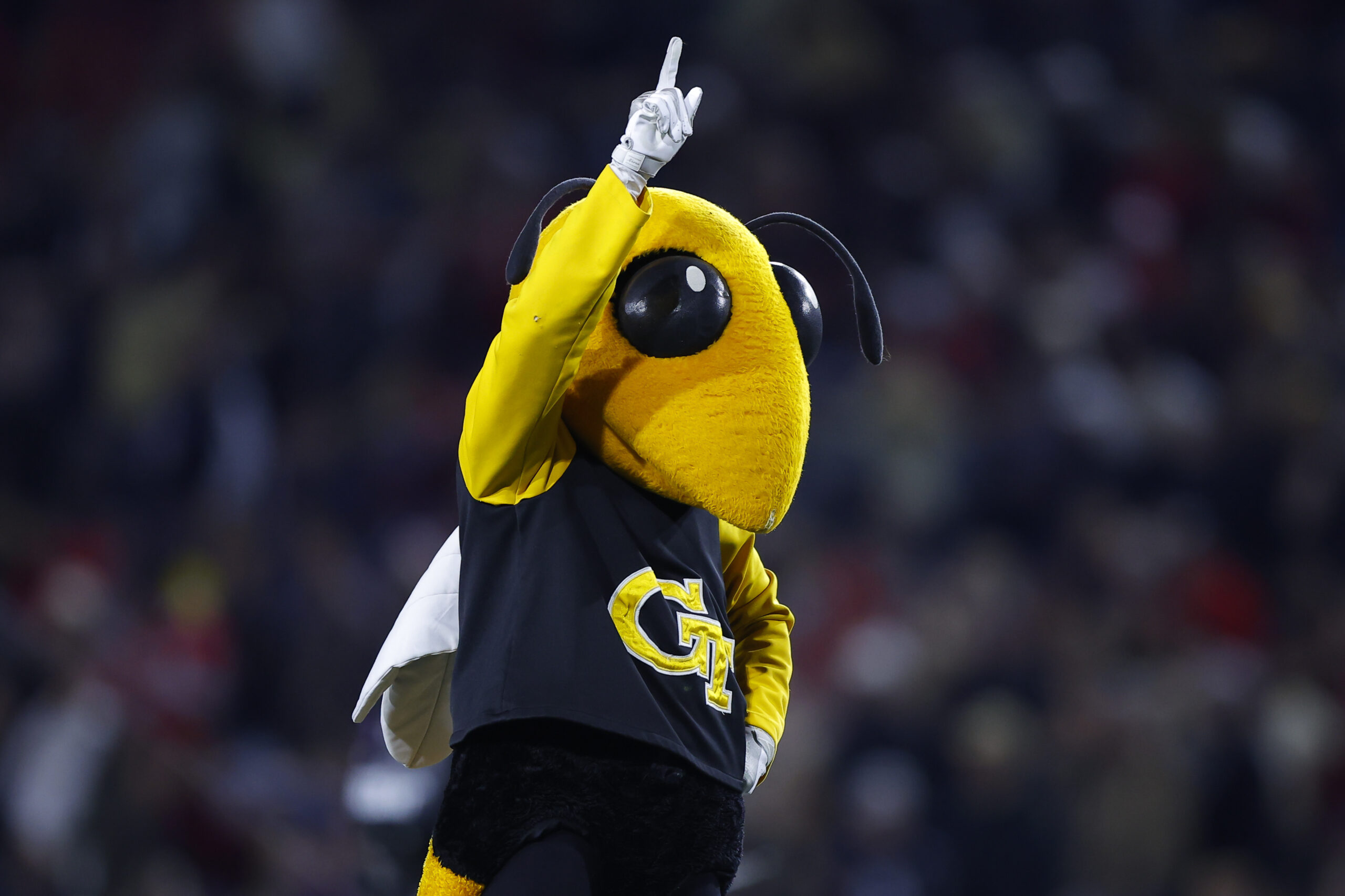 Florida State vs. Georgia Tech ATS Pick, Predictions and Odds