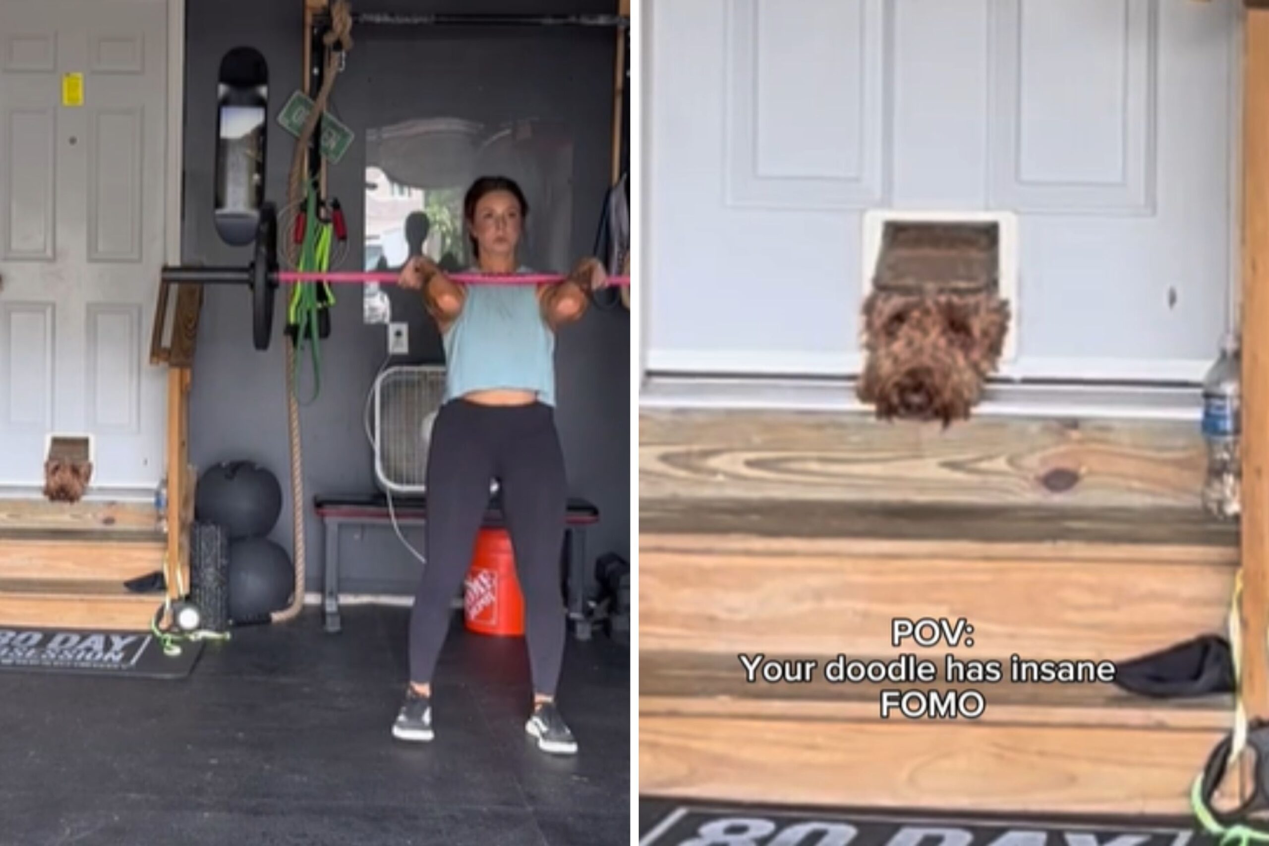 Hysterics at How Goldendoodle With Intense ‘FOMO’ Keeps Eye on Owner
