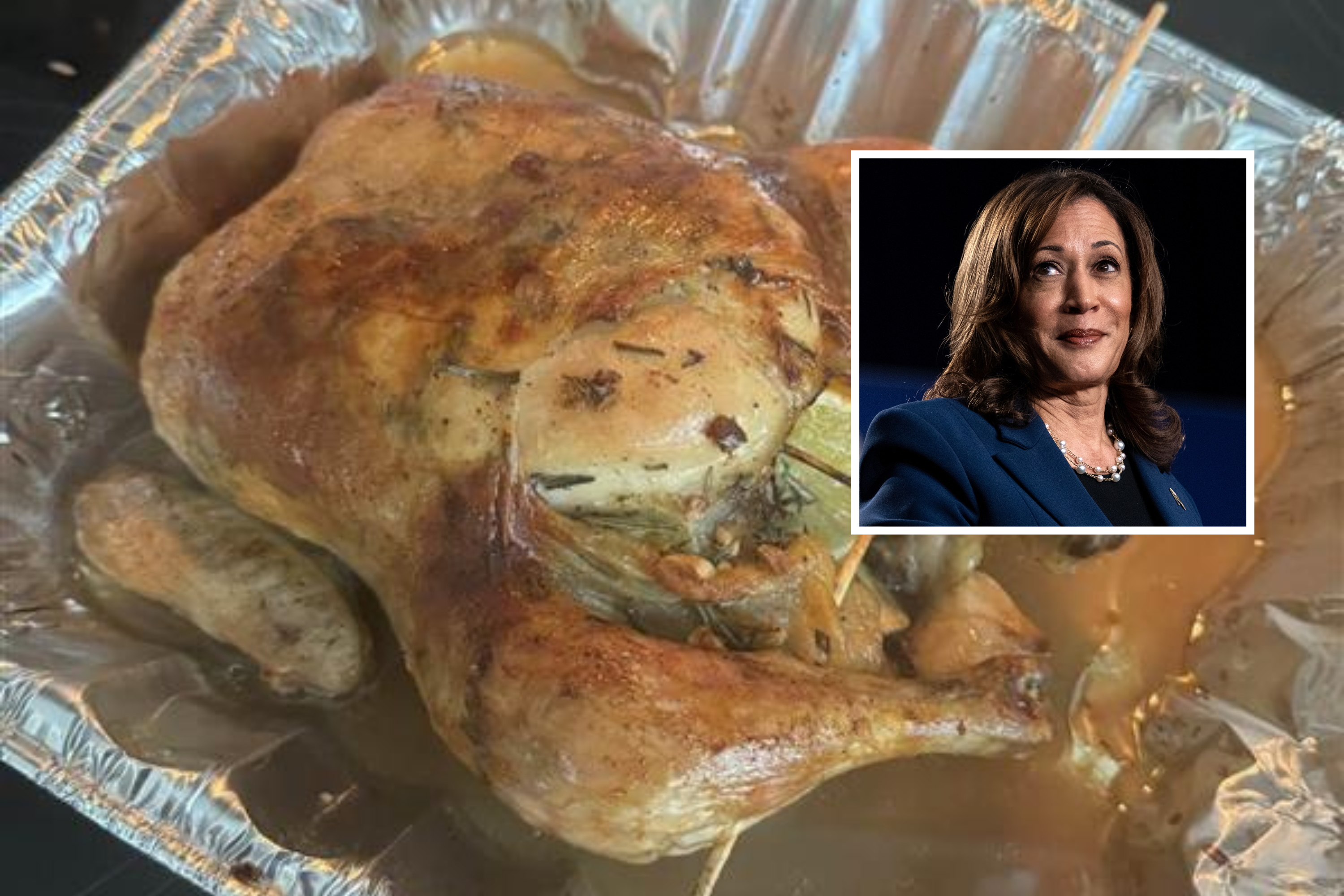 Newsweek Tested Out Kamala Harris’s Chicken Recipe. Here Are Our Thoughts
