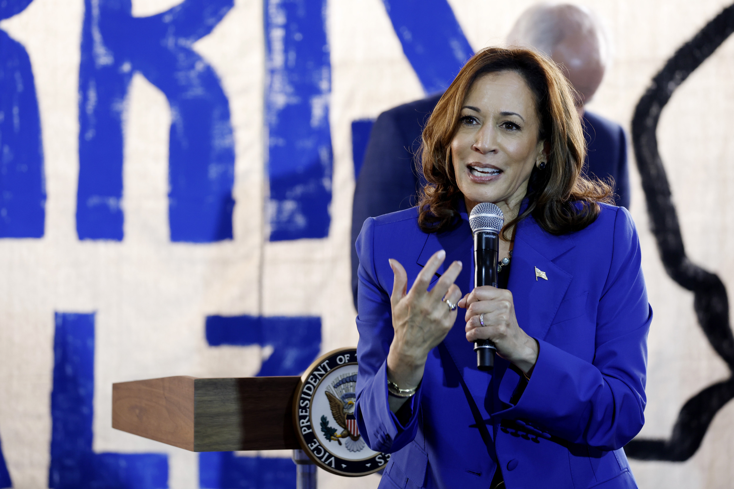 Democrats Confronted With Criticism of Kamala Harris’ New Economic Plan