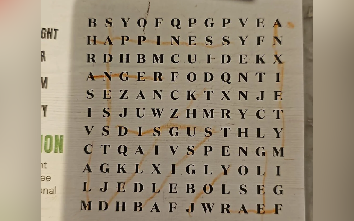 Dad Challenges Internet To Solve His Kids’ Word Search Puzzle, They Can’t