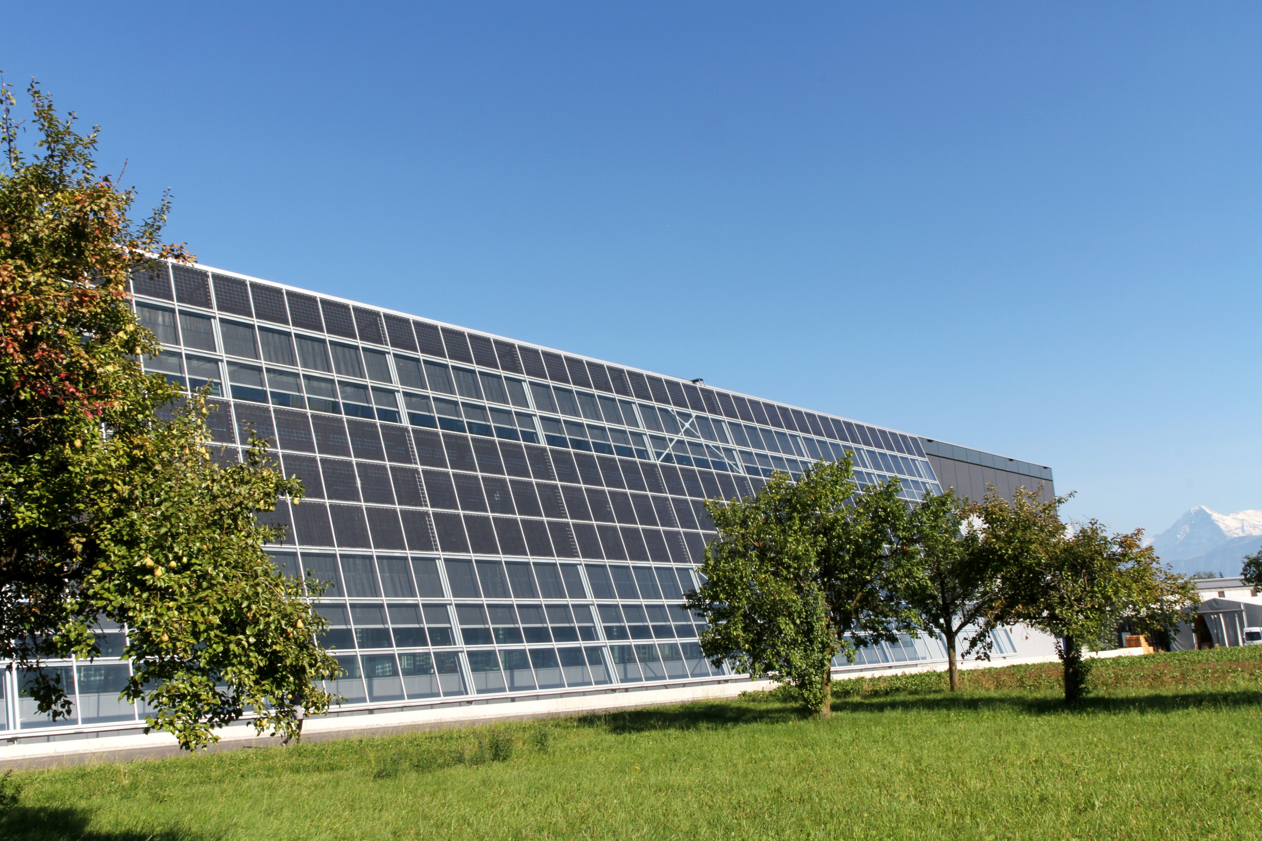 $400M Solar Facility Touted by Blinken Just Two Months Ago Is Scrapped