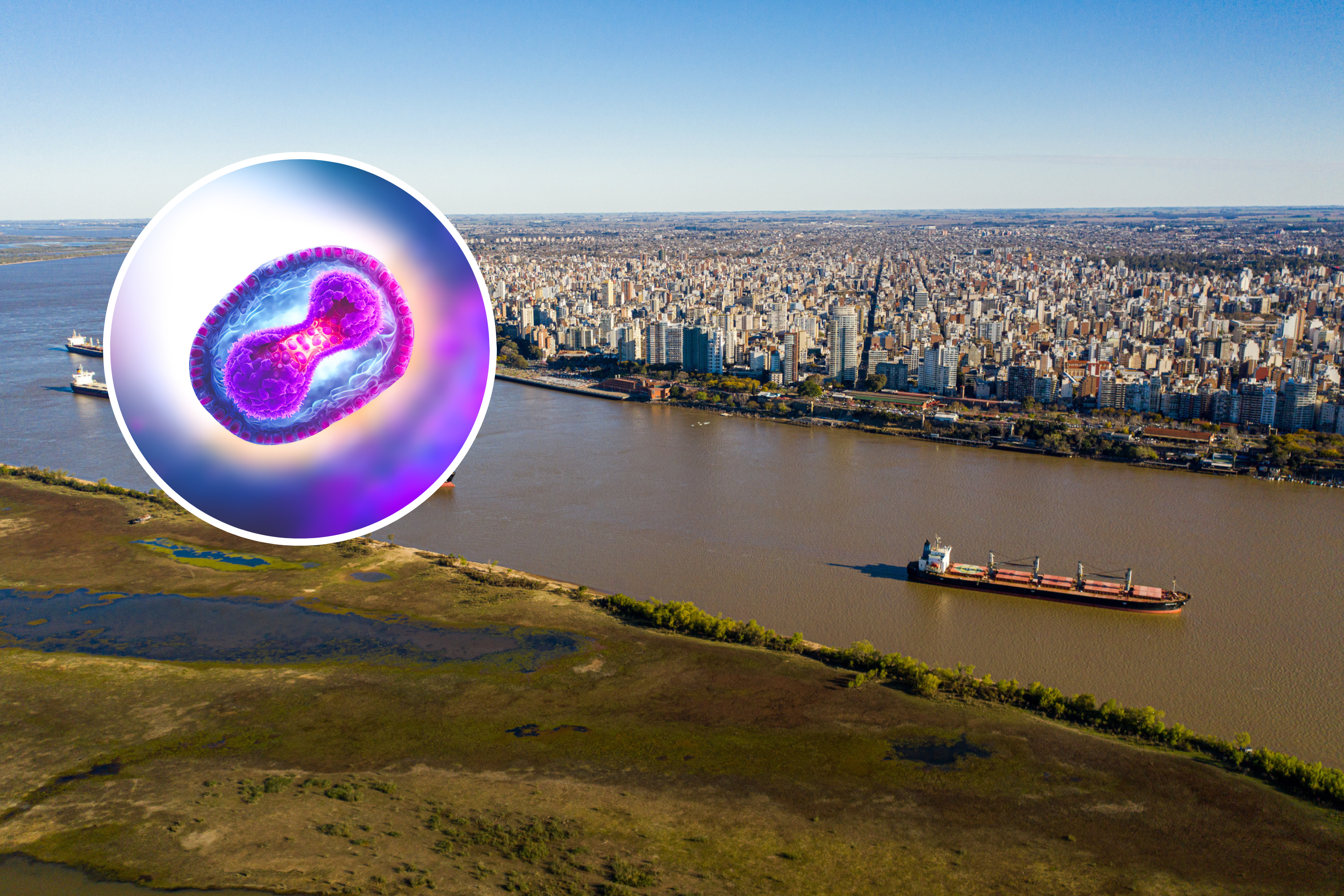 Mpox Update As Cargo Ship Quarantined Over Infection Fears