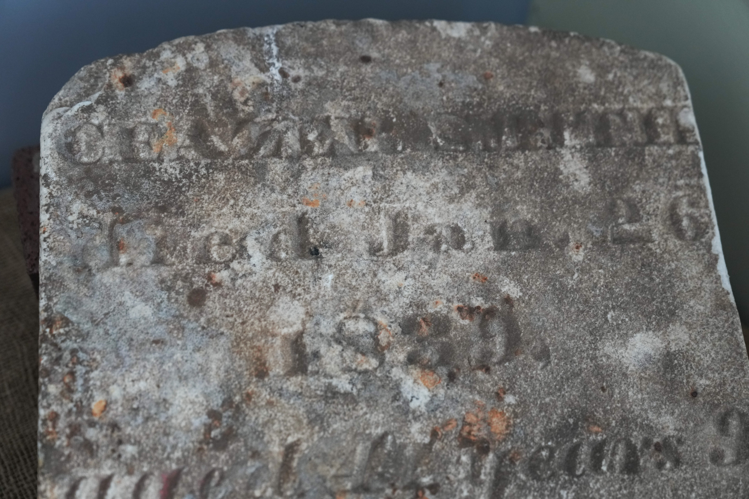 New York Cemetery for Enslaved People Reclaimed