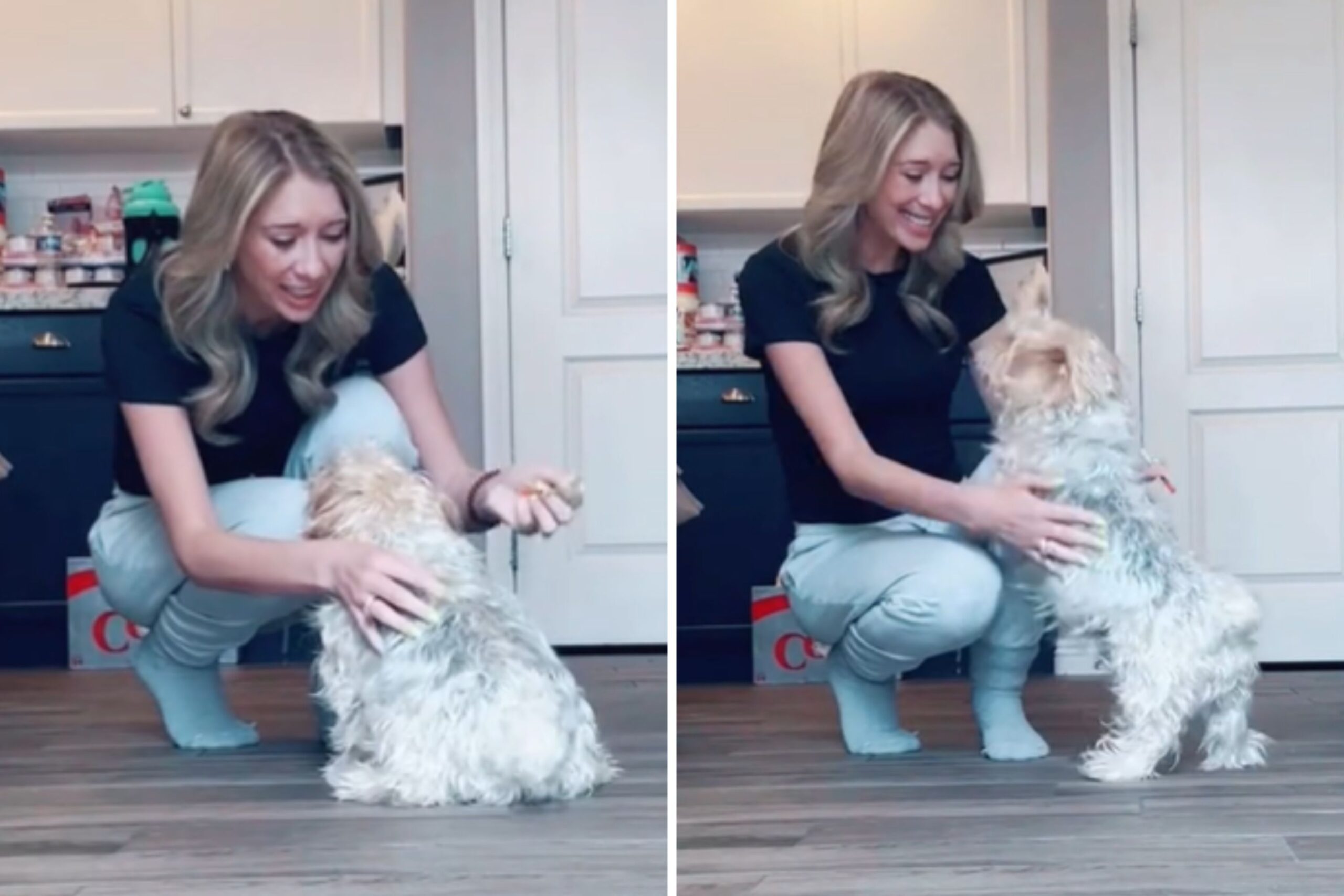 Terrier ‘Demands’ Daily Insulin Shot After Getting Jealous of Diabetic Dog