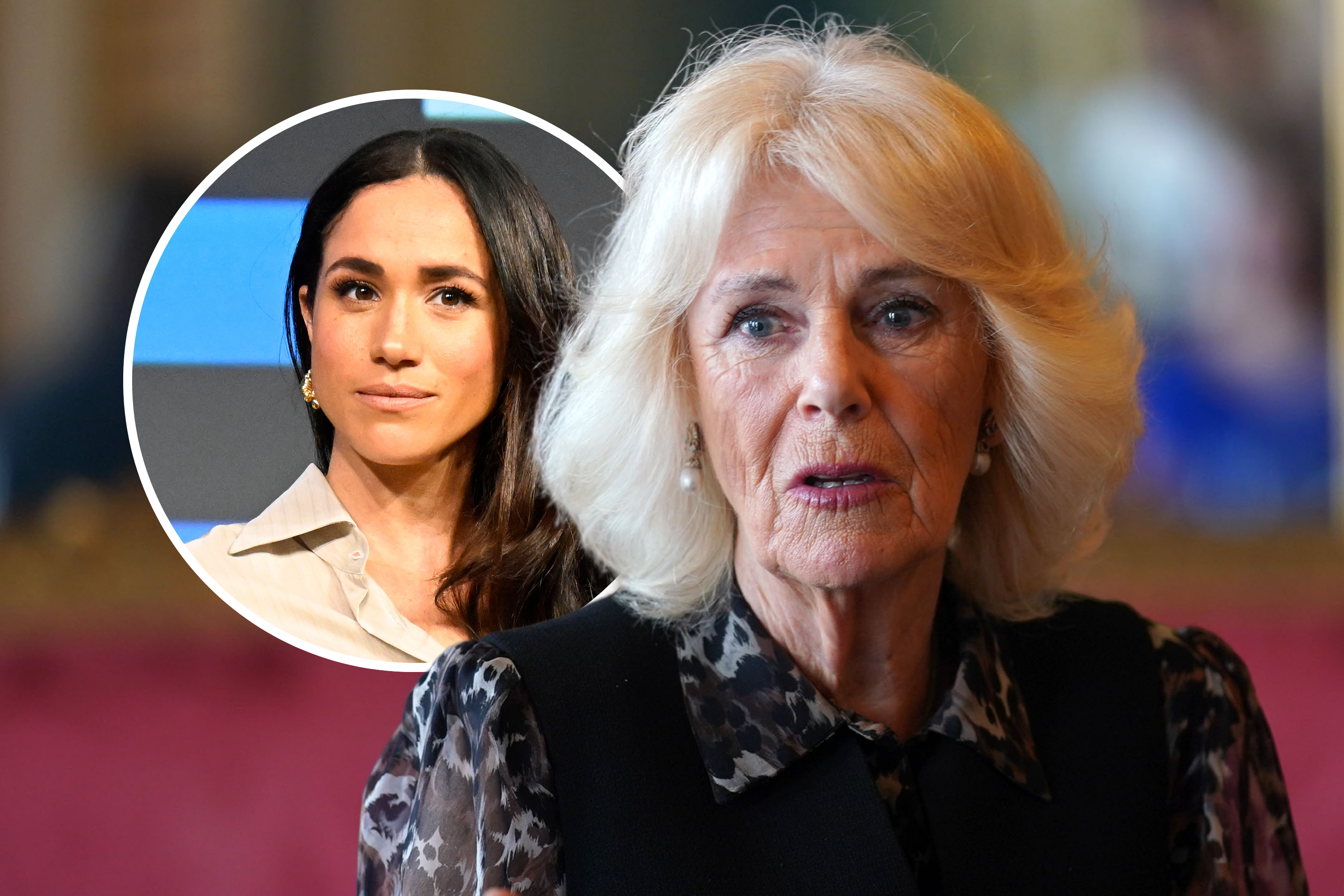 Queen Camilla Praises Author Who Called Meghan Markle ‘Unmaternal’