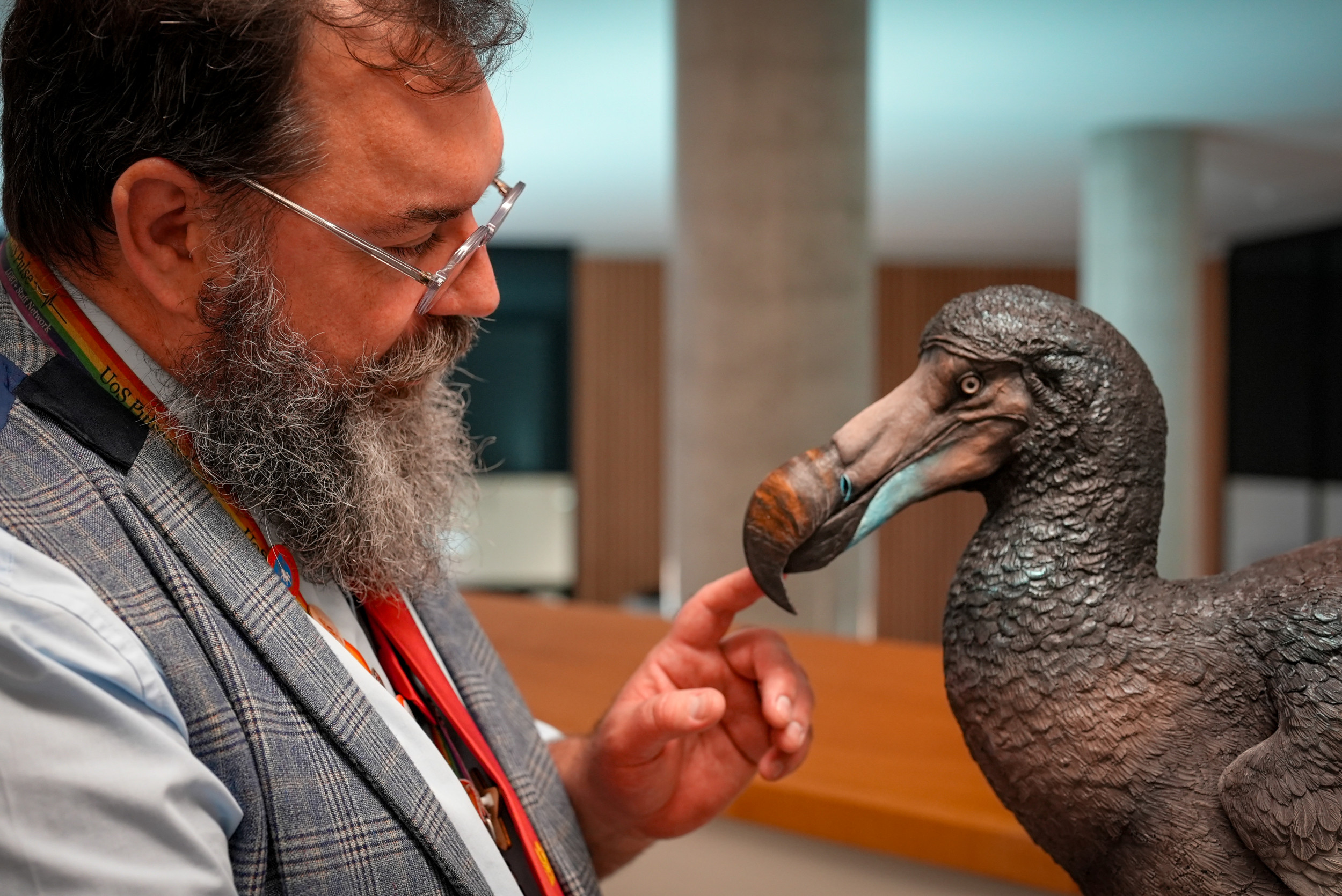 Scientists Unravel Dodo’s Secrets Over 300 Years After Its Extinction