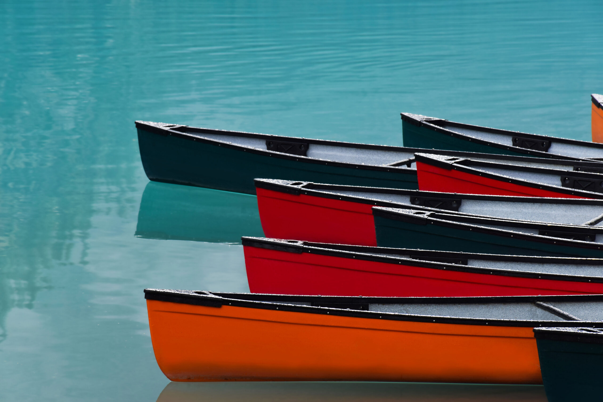 The Whole Leader: A Call for Self-Care in Social Impact