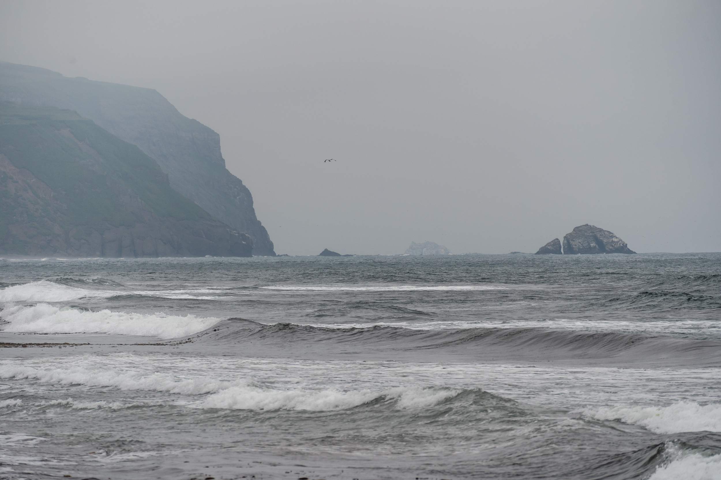 Japan Issues Rare Alert: Typhoon Shanshan ‘Strong Enough To Destroy Houses’
