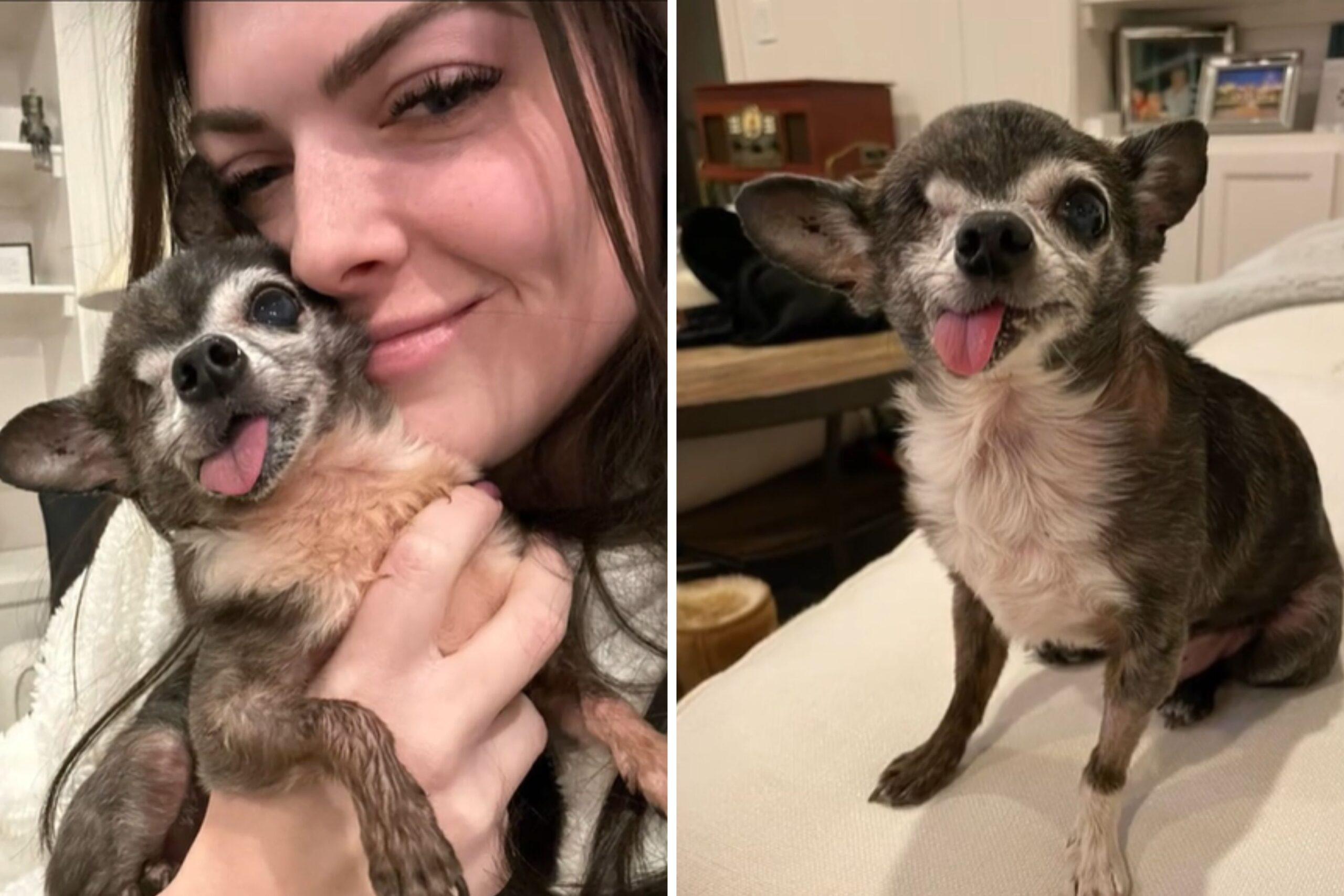 Woman Takes Chance Adopting 16-Year-Old Dog, Was ‘Best Decision Ever’