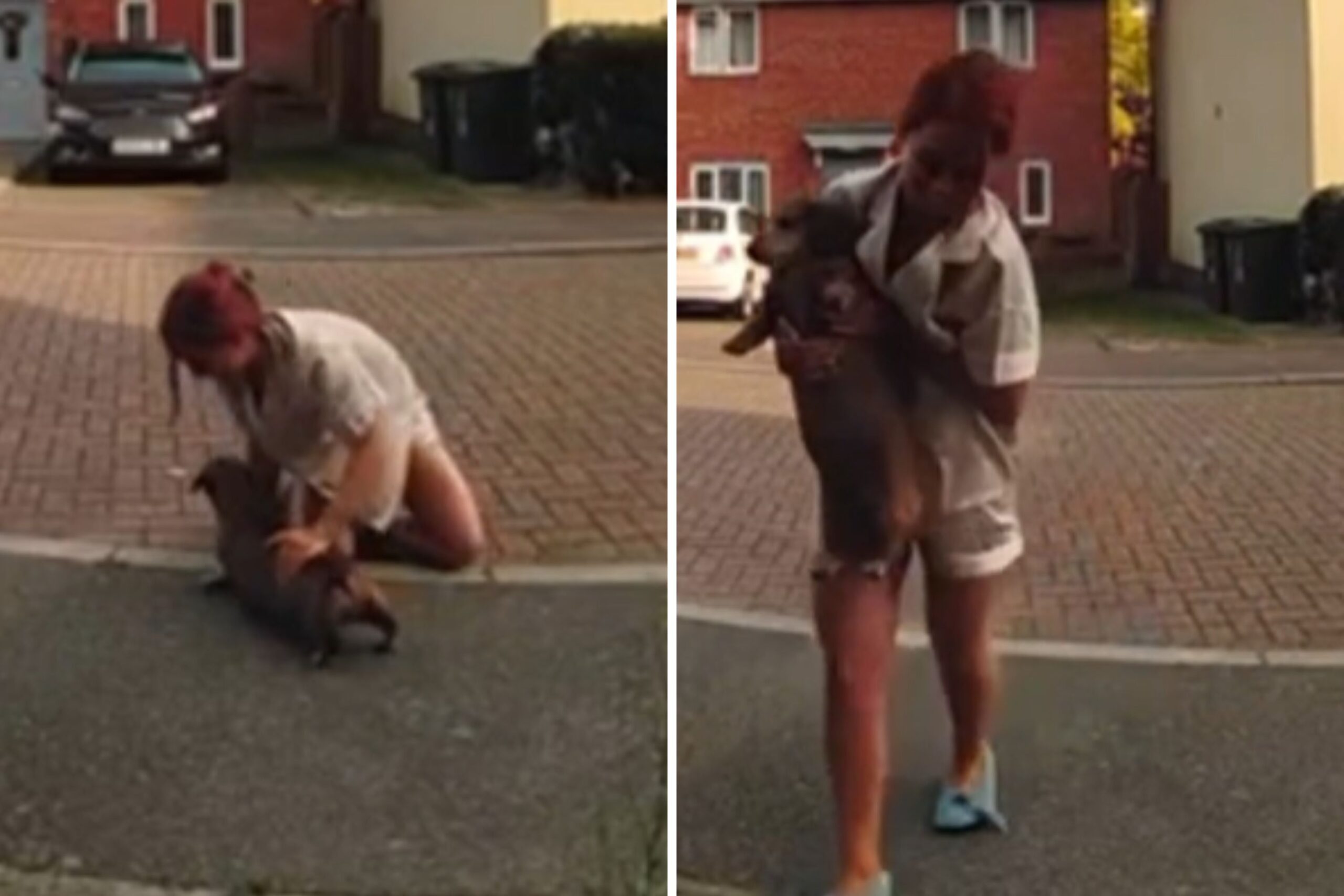 Doorbell Camera Films Owner’s ‘How To’ on Keeping Dachshund From Escaping