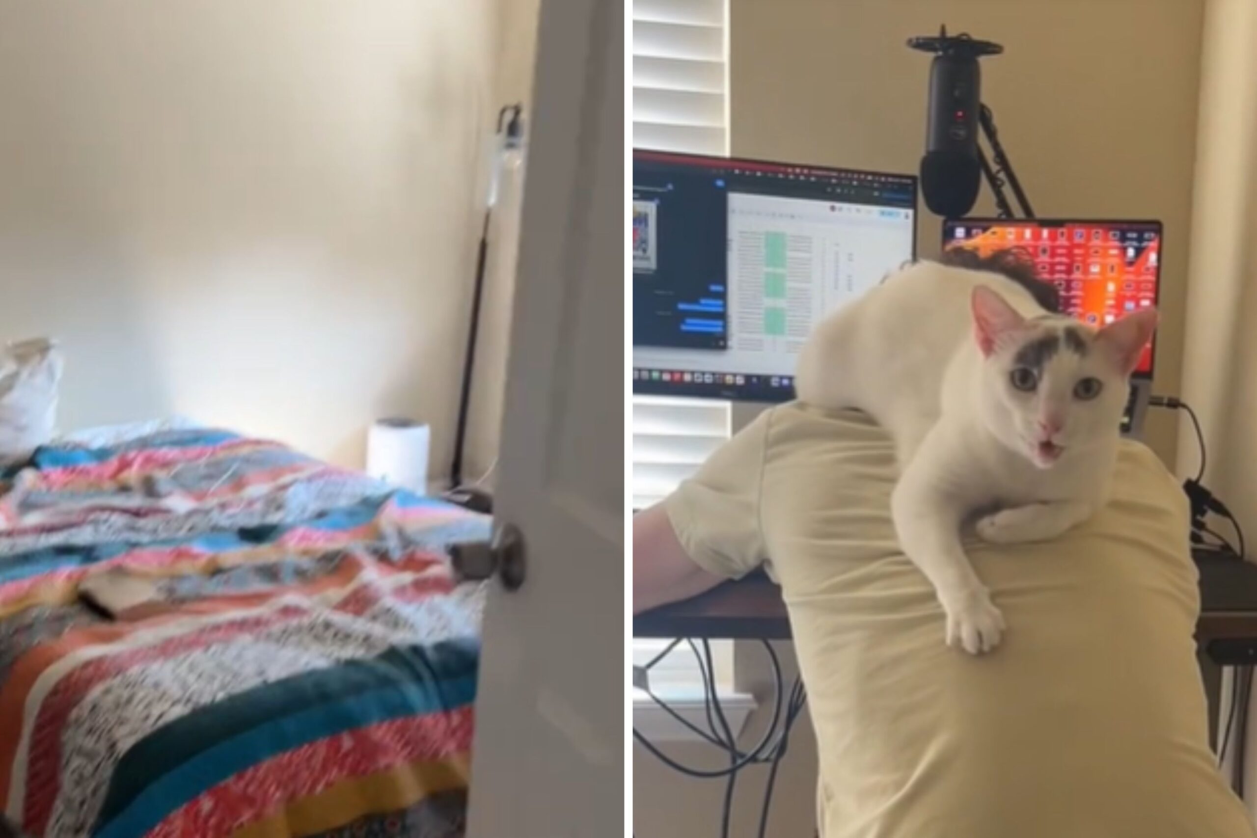 Woman Can’t Believe Her Eyes After Urgent ‘Come Upstairs’ Text From Fiancé