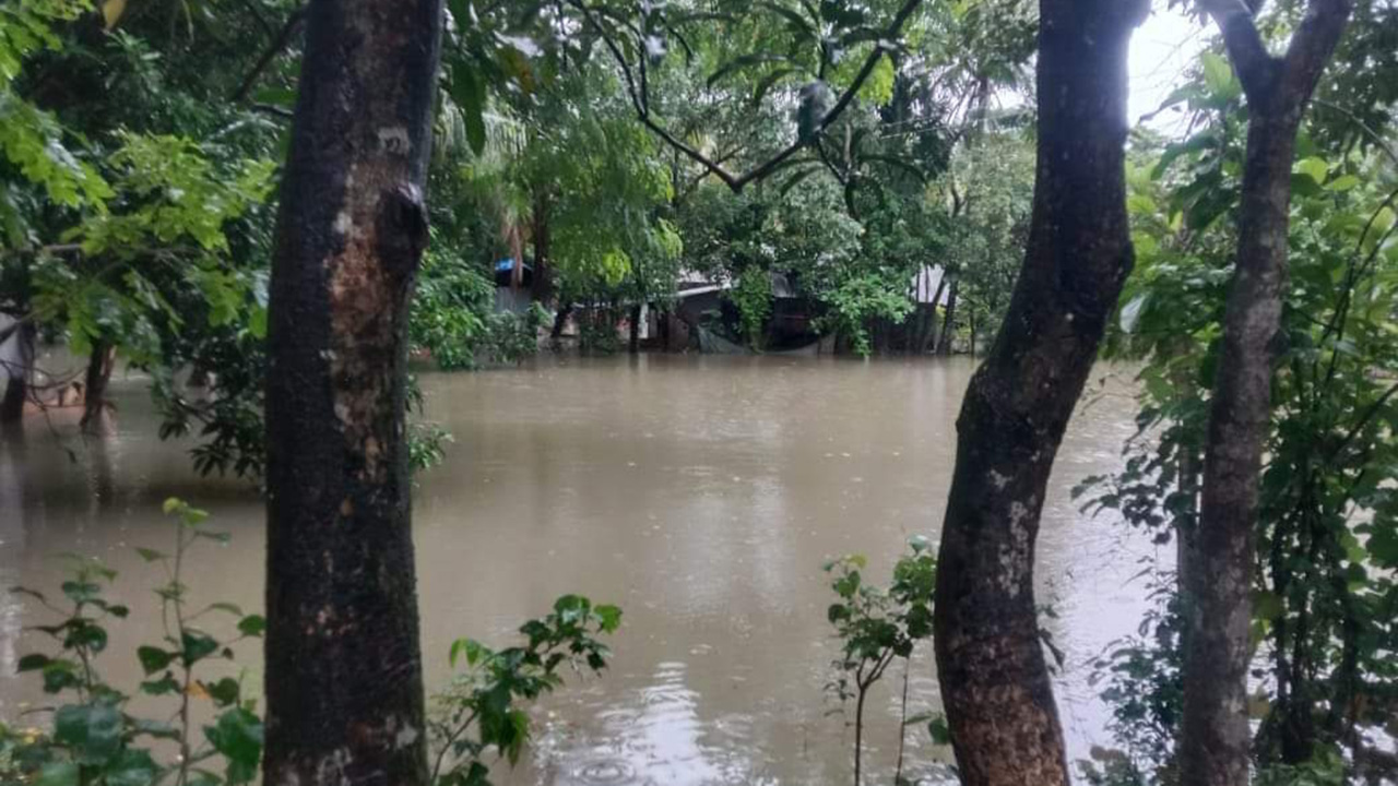 Finally, the sun is smiling in Noakhali, the water has started to decrease – Bangladesh Diplomat
