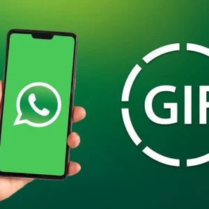 Option to GAIF videos on WhatsApp