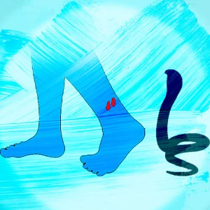 Housewife dies of snake bite in Manirampur