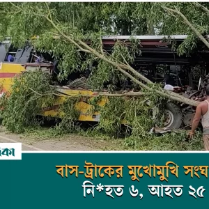 6 killed, 25 injured in bus-truck collision in Gopalganj