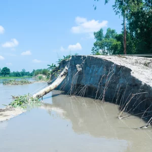 In Gangachra, Teesta water has decreased but erosion has increased
