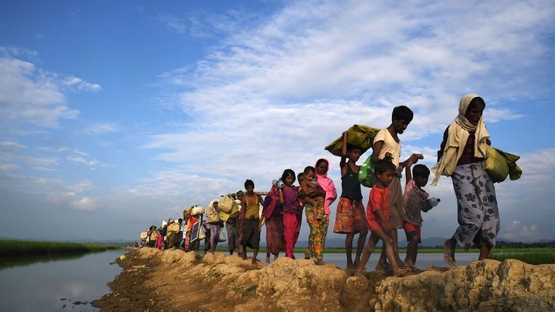 Another 500 Rohingya fled from Myanmar to Bangladesh