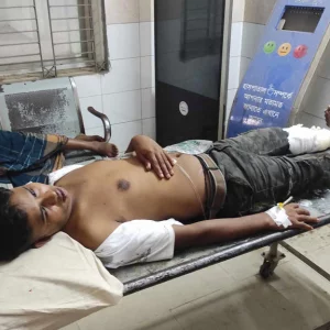 Sirajganj Bangabandhu bridge bus hit behind truck, father and son killed 3