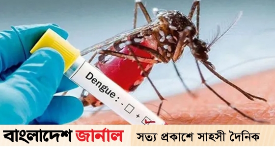 Dengue outbreak is increasing, 3 more people died